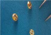 Rare coloured diamonds to be unearthed in Canada