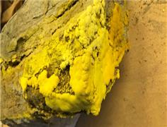 One Nation NSW shakes up uranium mining ban