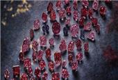 Rio Tinto hosts second last Argyle diamonds tender