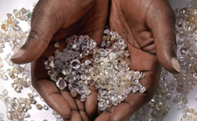 Giant Diamonds has been mining`s one success story this year