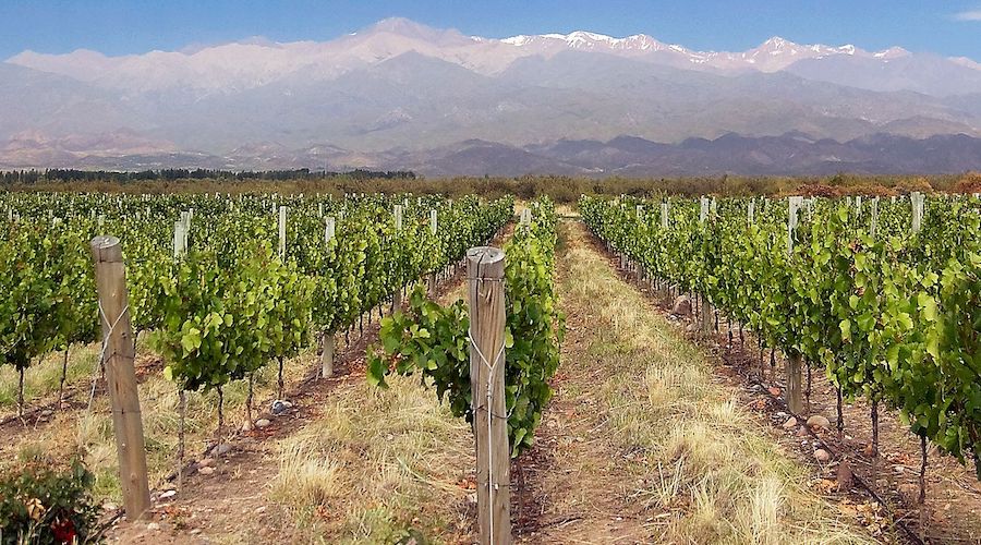 Senator wants to boost sustainable mining in Argentina’s wine country