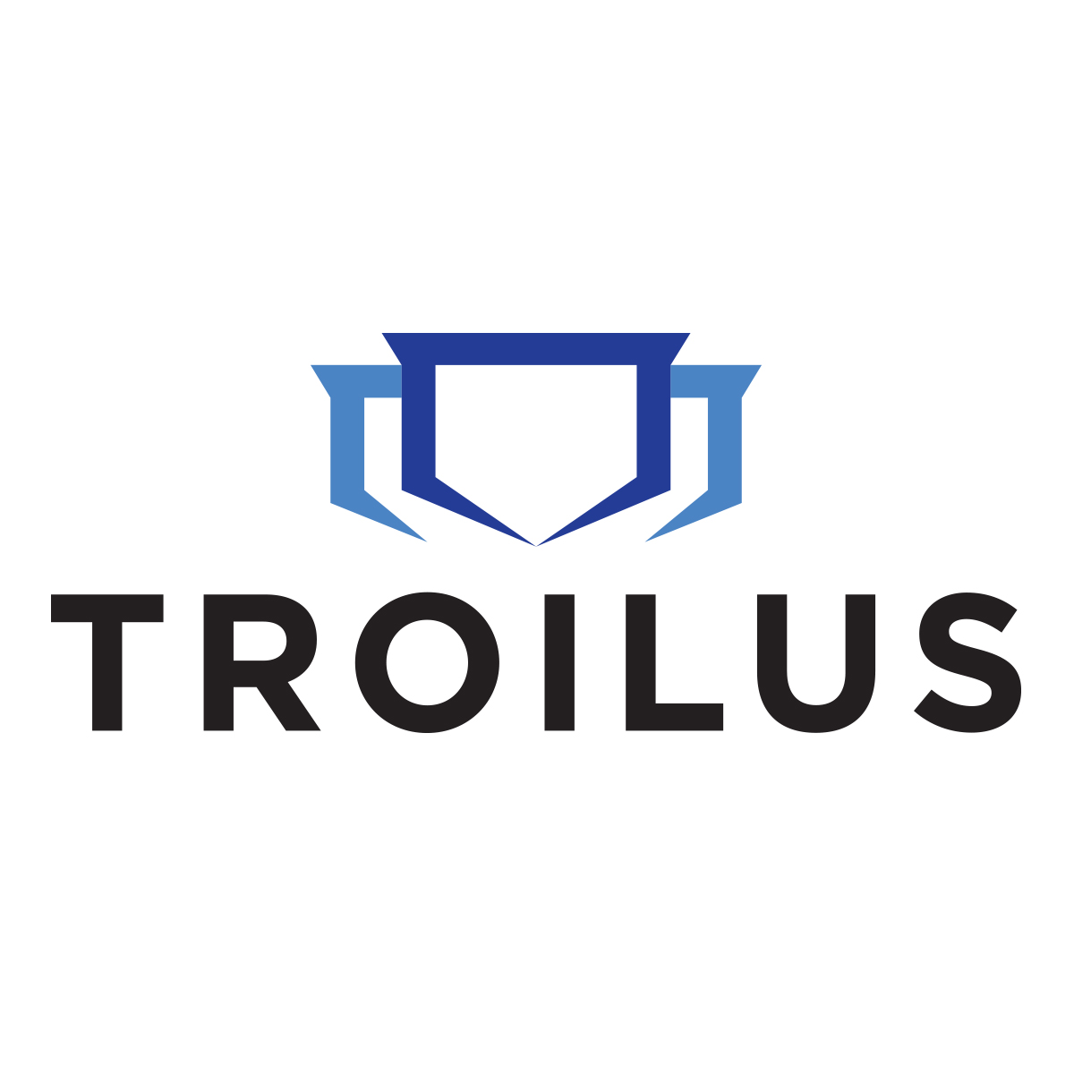 Troilus Gold makes $12m share offering